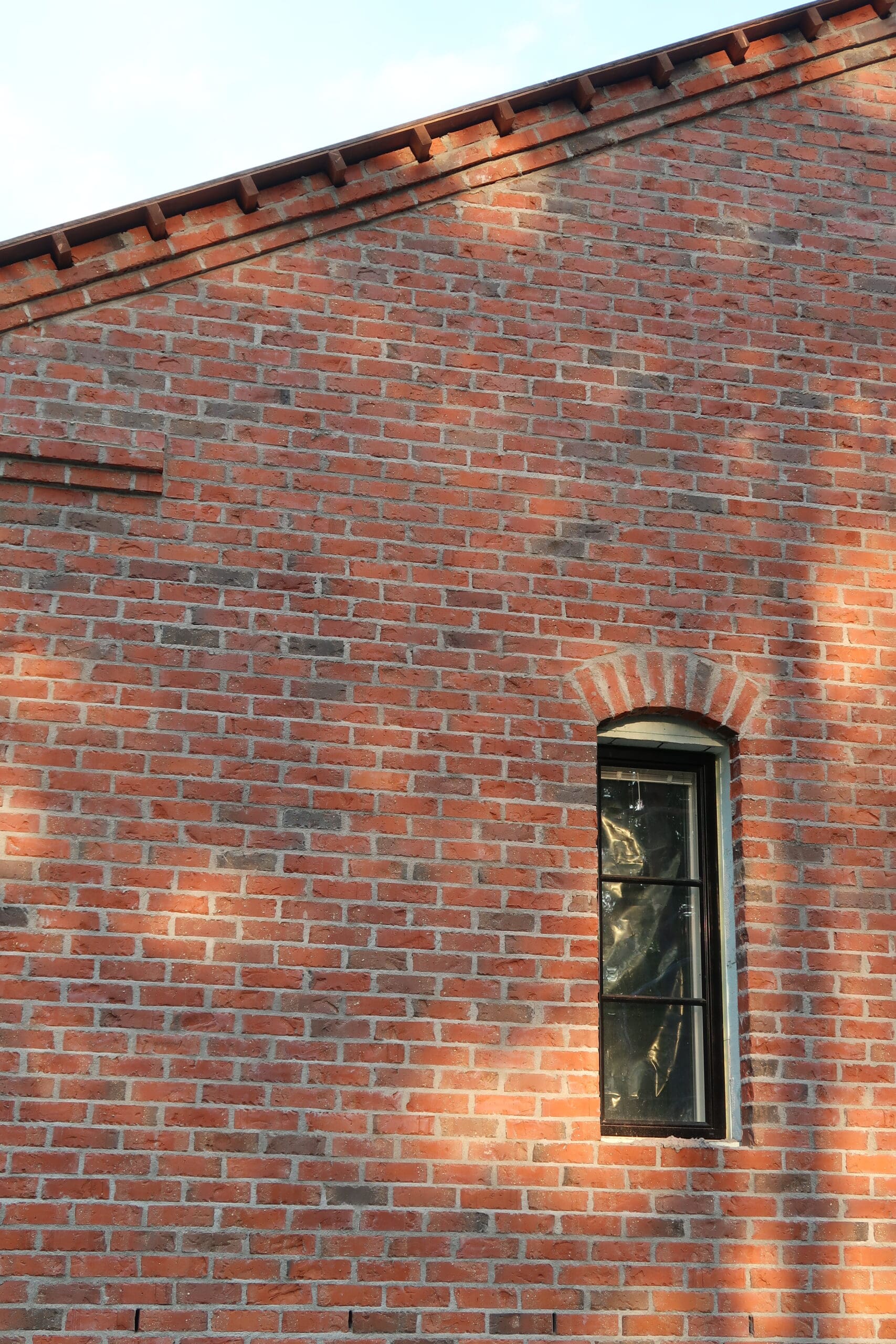 20230531203746_IMG_7006-scaled